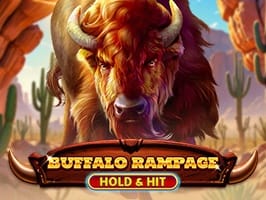 Buffalo Rampage Hold and Hit game cover